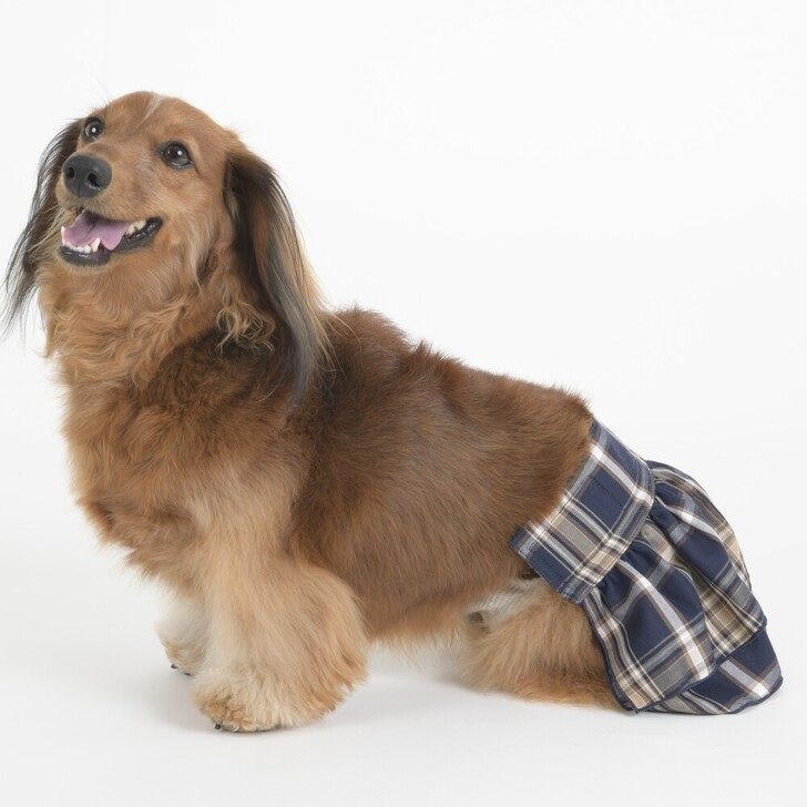 【Gemelli】タータンチェックマナースカート