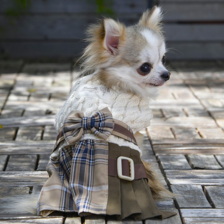 【Gemelli】チェック×プリーツワンピース