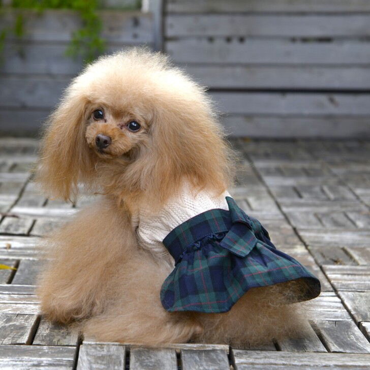 【Gemelli】ケーブルニットチュニック