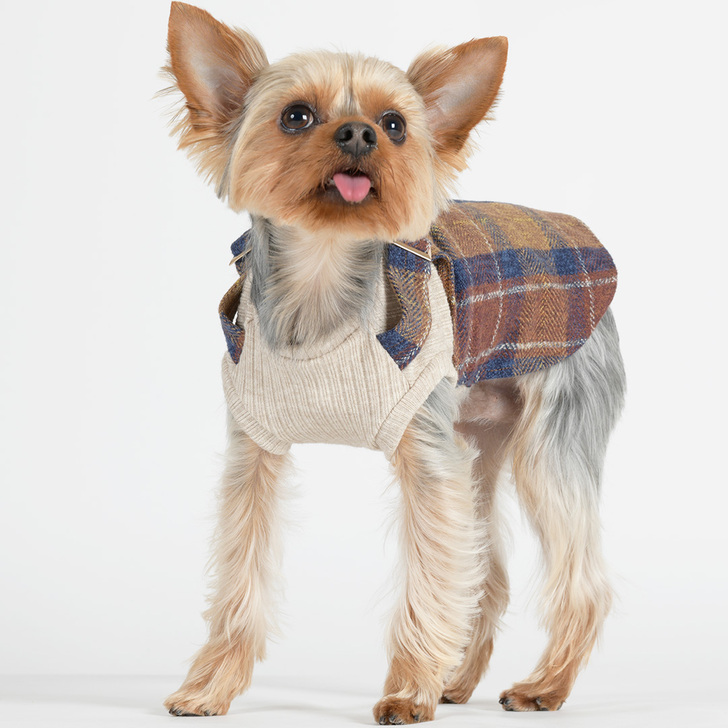 【Gemelli】ブリティッシュジャンパースカート