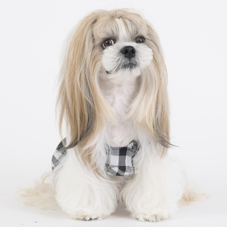 【Gemelli】シャーリングシャツワンピース