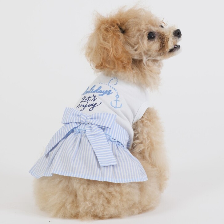 【Gemelli】クールストライプチュニック