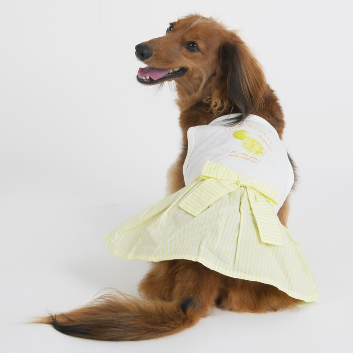 【Gemelli】クールフルーツキャミワンピース