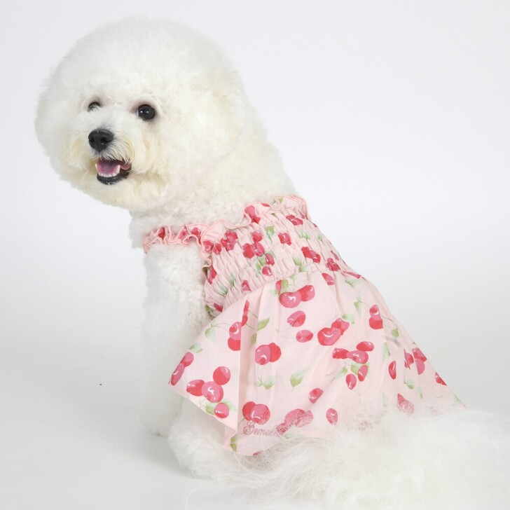 【Gemelli】サクランボシャーリングワンピース