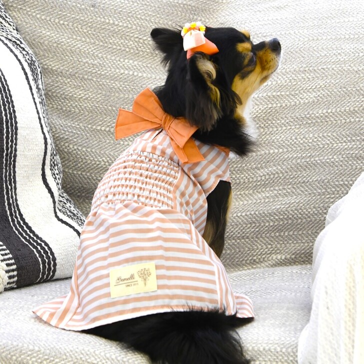 【Gemelli】COOLストライプシャーリングワンピース