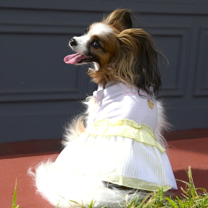 【Gemelli】COOLプリーツワンピース