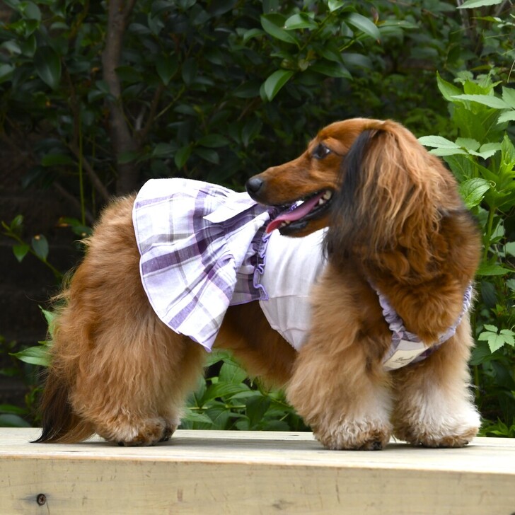 【Gemelli】COOL&オーガニックチェックキャミワンピ