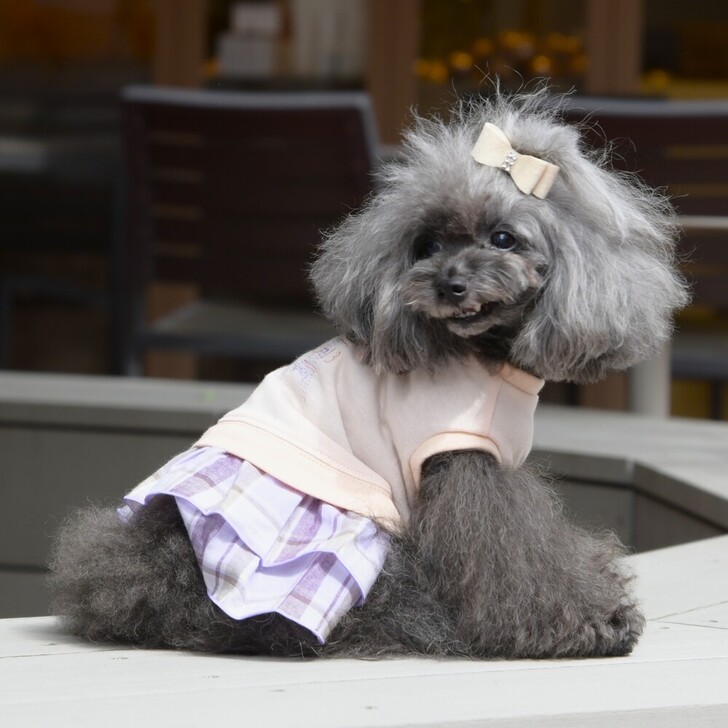 【Gemelli】COOL&オーガニックチェック裾フリルワンピ