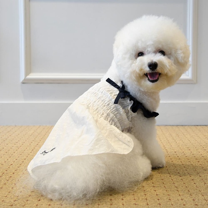 【Gemelli】刺繍シャーリングワンピース