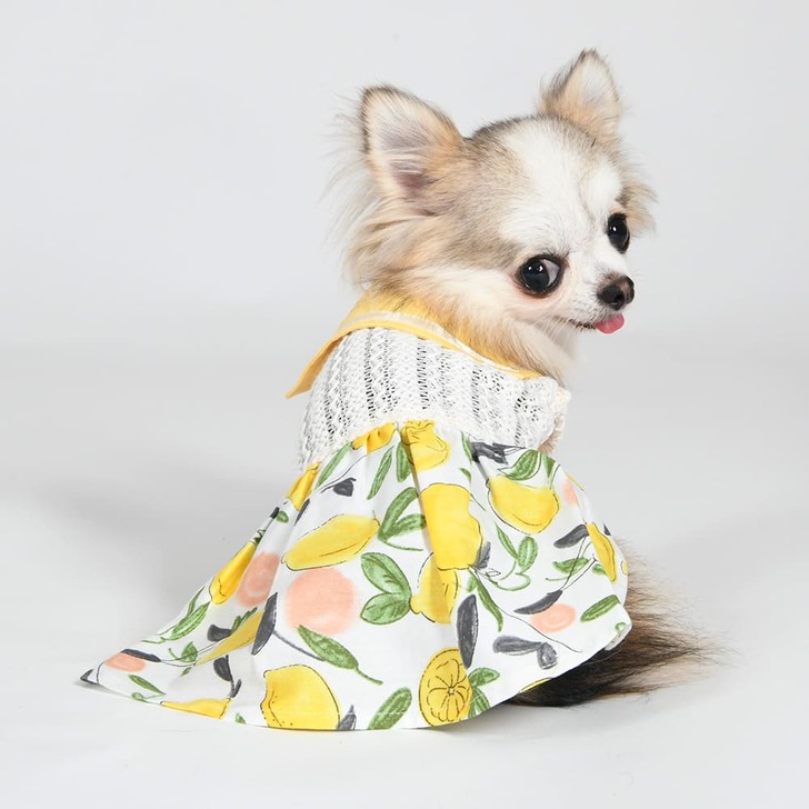 【Gemelli】Lemon柄セーラーワンピース