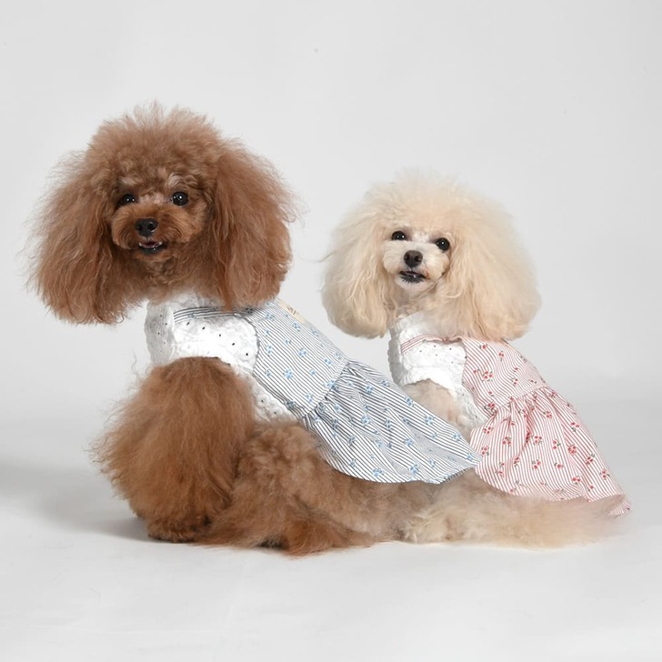 【Gemelli】キャミソール重ね着風ワンピース