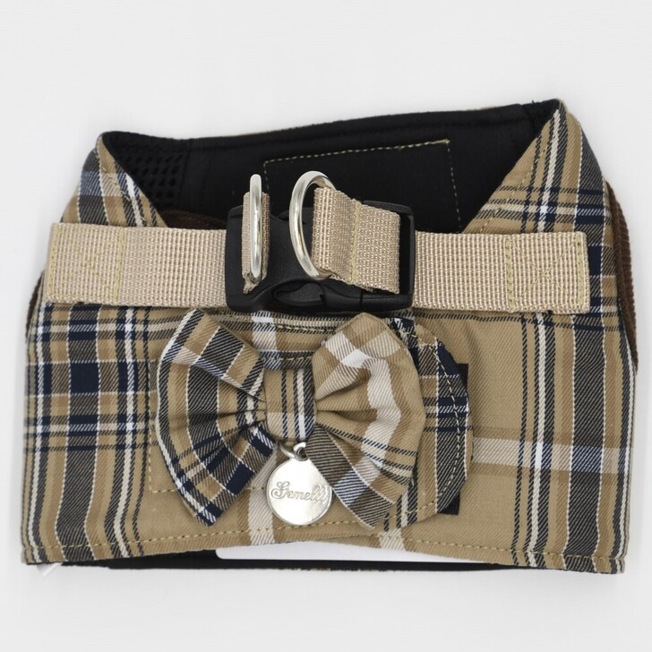 20.ﾍﾞｰｼﾞｭ