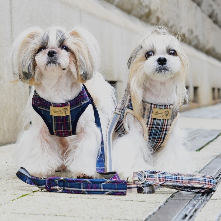 【Gemelli】クラシカルチェックハーネス