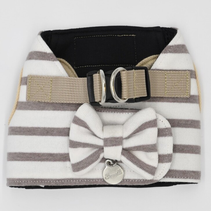 20.ﾍﾞｰｼﾞｭ