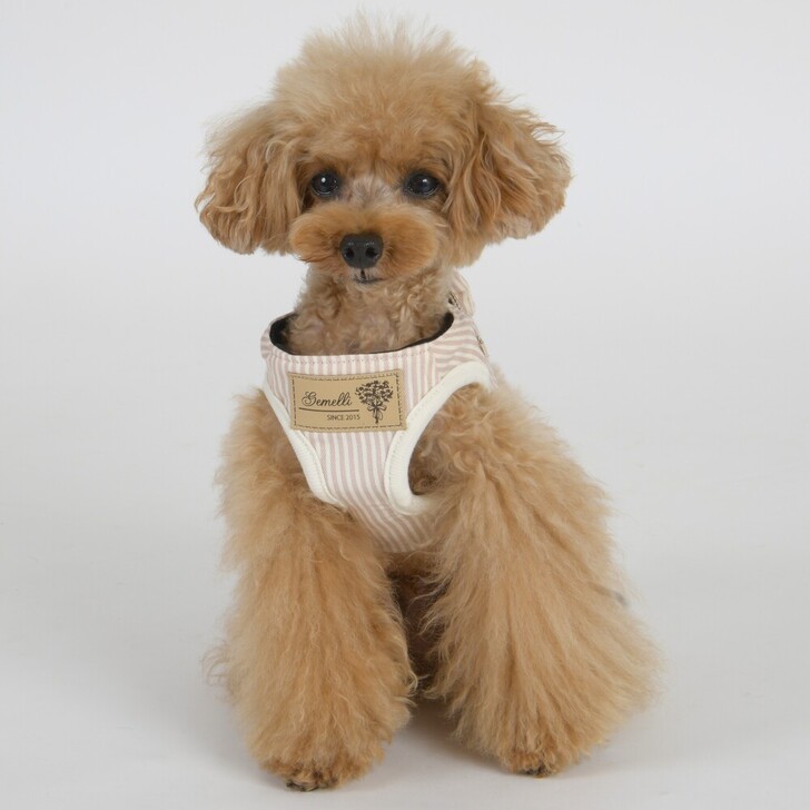 【Gemelli】抗菌多機能ストライプハーネス