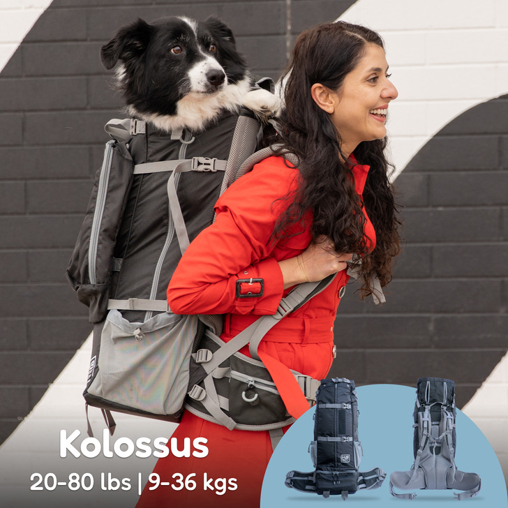 【K9】K9　Sport　Sack　Kolossus　(K9　コロッサス)