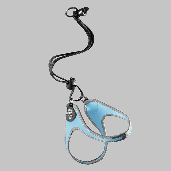 76.ｽｶｲﾌﾞﾙｰ