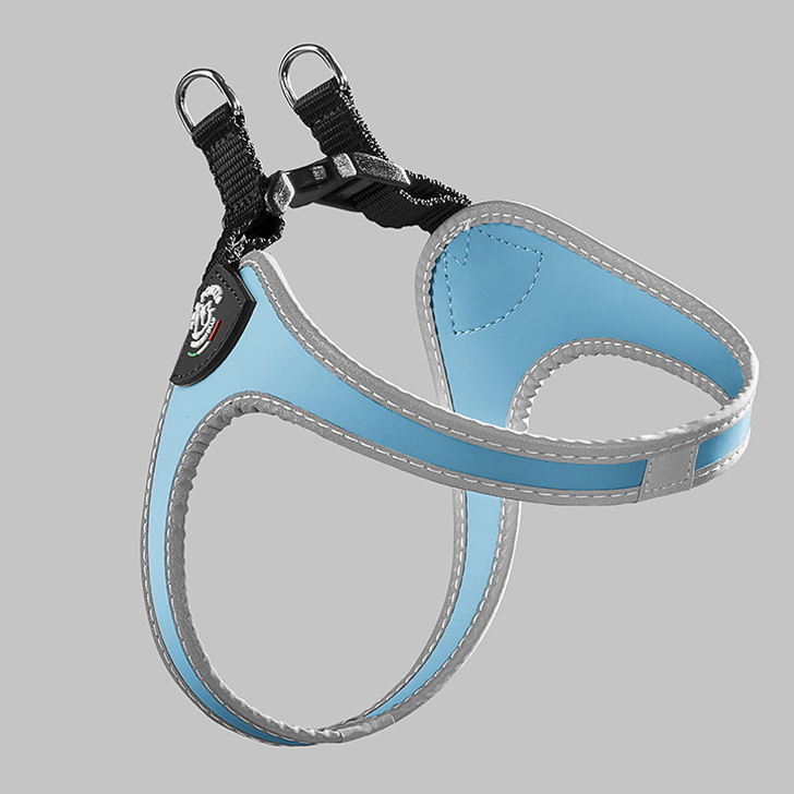 76.ｽｶｲﾌﾞﾙｰ