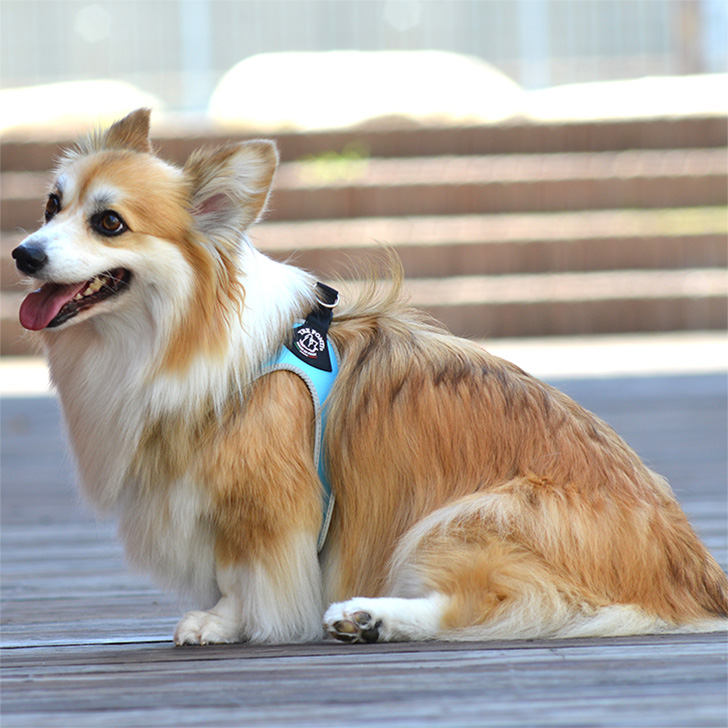 【TRE　PONTI】フィッビア　リフレクティブ