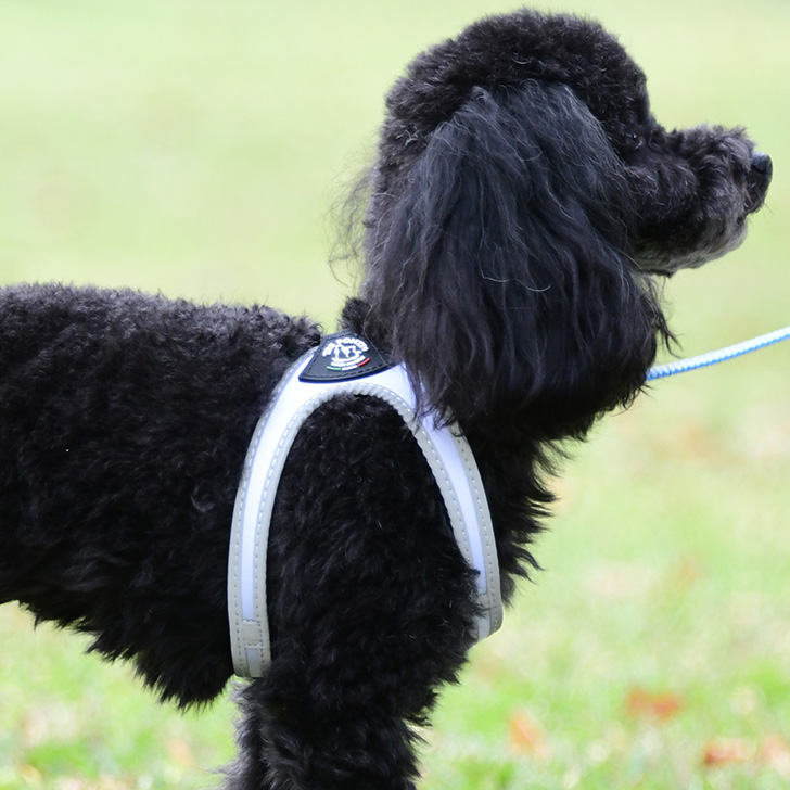 【TRE　PONTI】フィッビア　フルオ