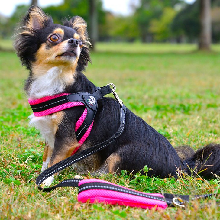 【TRE　PONTI】フィッビア　ソフトメッシュ