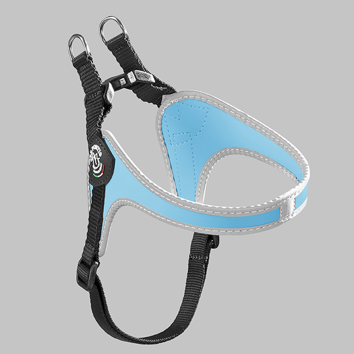 76.ｽｶｲﾌﾞﾙｰ