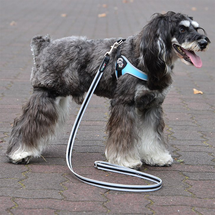 【TRE　PONTI】フィッビア　アジャスタブルタイプ　リフレクティブ