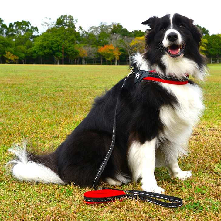 【TRE　PONTI】フィッビア　アジャスタブルタイプ　ソフトメッシュ