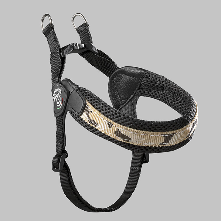 101.ﾃﾞｻﾞｰﾄｶﾓ