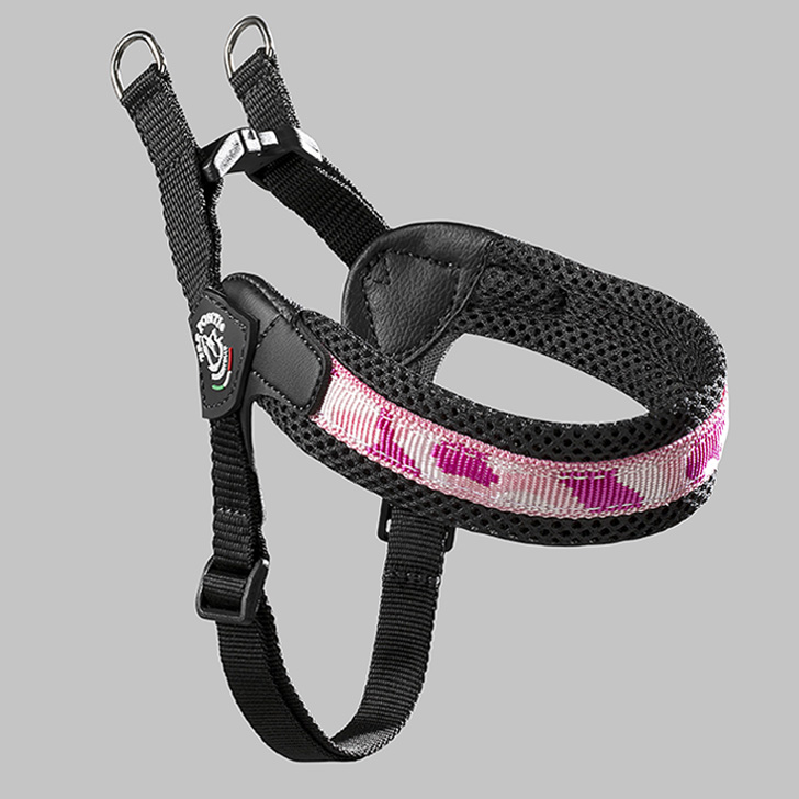 102.ﾋﾟﾝｸｶﾓ