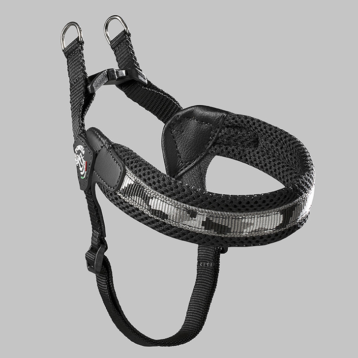 103.ｸﾞﾚｰｶﾓ