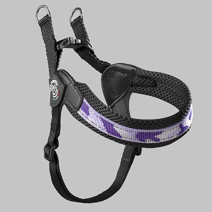 105.ﾊﾟｰﾌﾟﾙｶﾓ