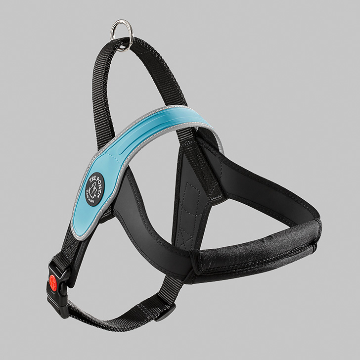 76.ｽｶｲﾌﾞﾙｰ