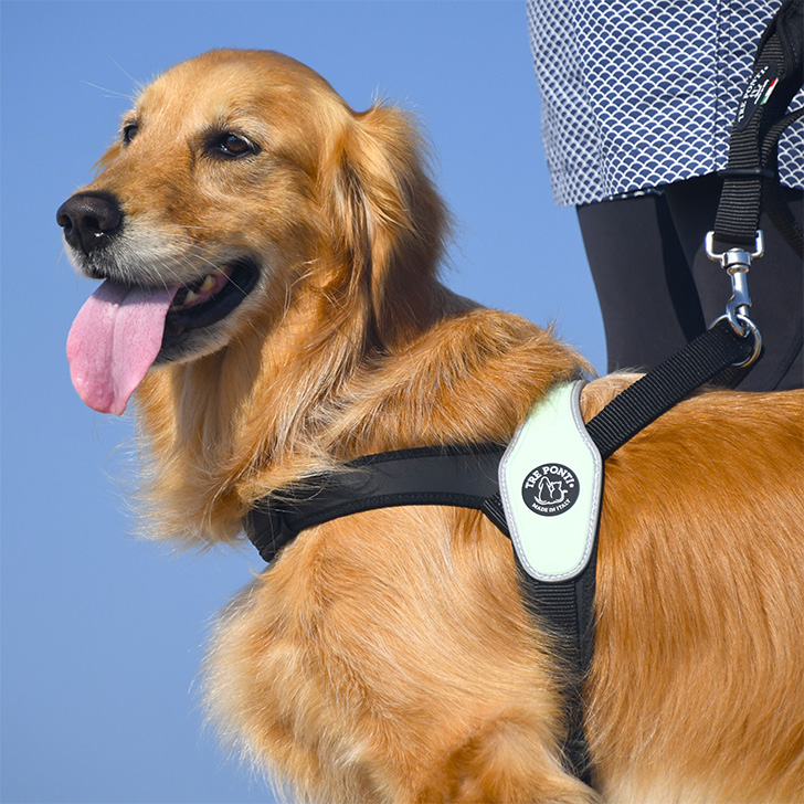 【TRE　PONTI】プリモ　リフレクティブ