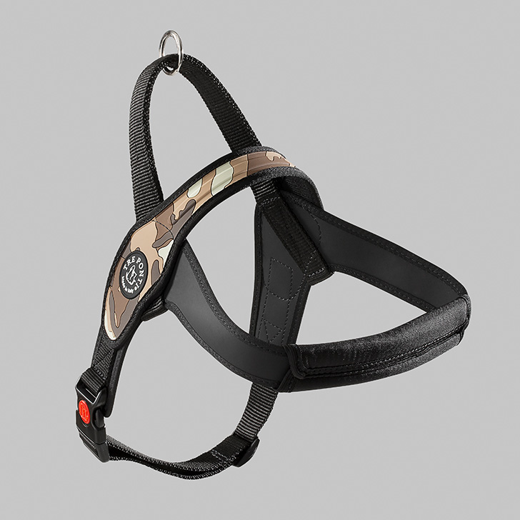 101.ﾃﾞｻﾞｰﾄｶﾓ