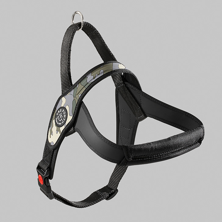 103.ｸﾞﾚｰｶﾓ