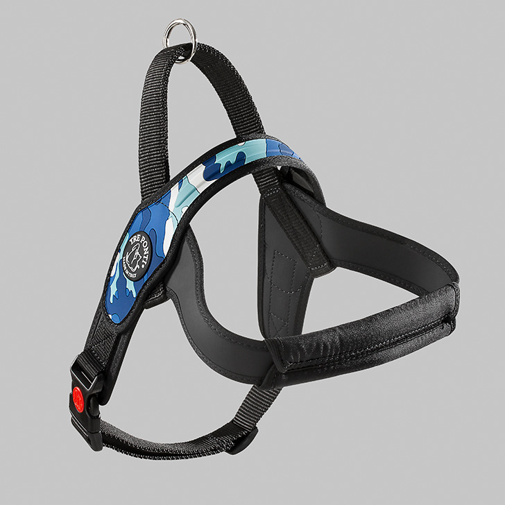 104.ﾌﾞﾙｰｶﾓ