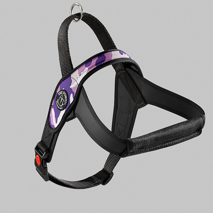 105.ﾊﾟｰﾌﾟﾙｶﾓ