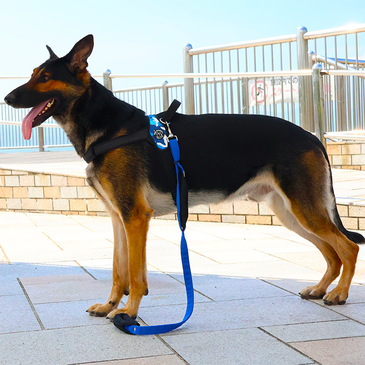 【TRE　PONTI】プリモ　カモフラージュ