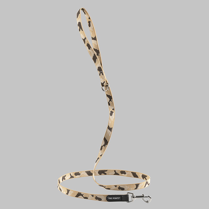 101.ﾃﾞｻﾞｰﾄｶﾓ