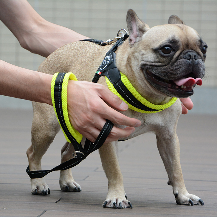 【TRE　PONTI】ソフトメッシュリーシュ