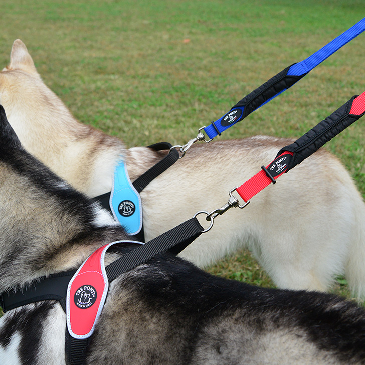 【TRE　PONTI】ダブルセーフティハンドルリーシュ
