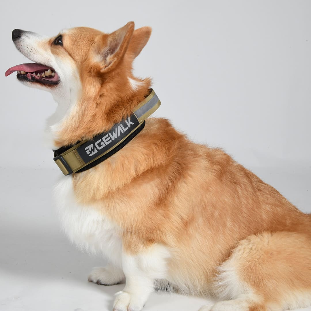 【GEWALK】ヘビーデューティカラーエコ