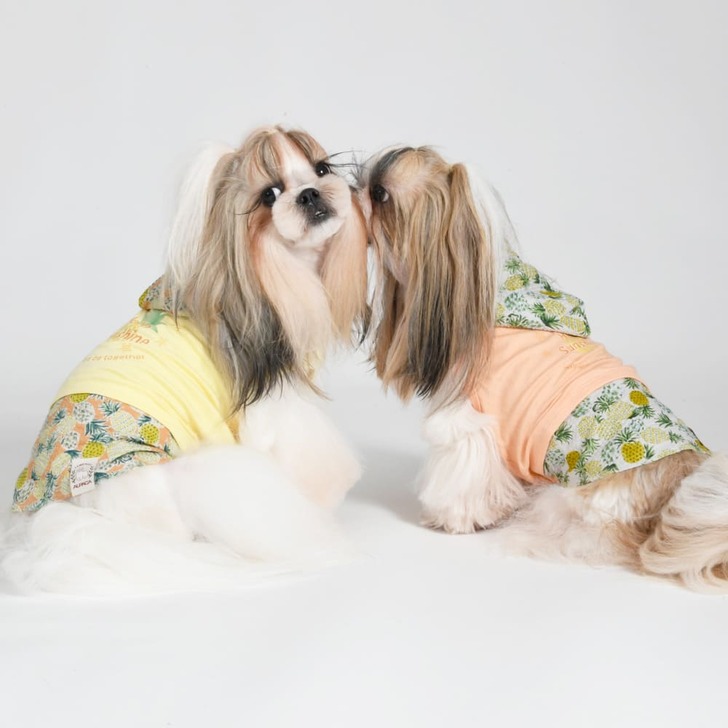 【ALPACA】アルパカパイナップルパーカー