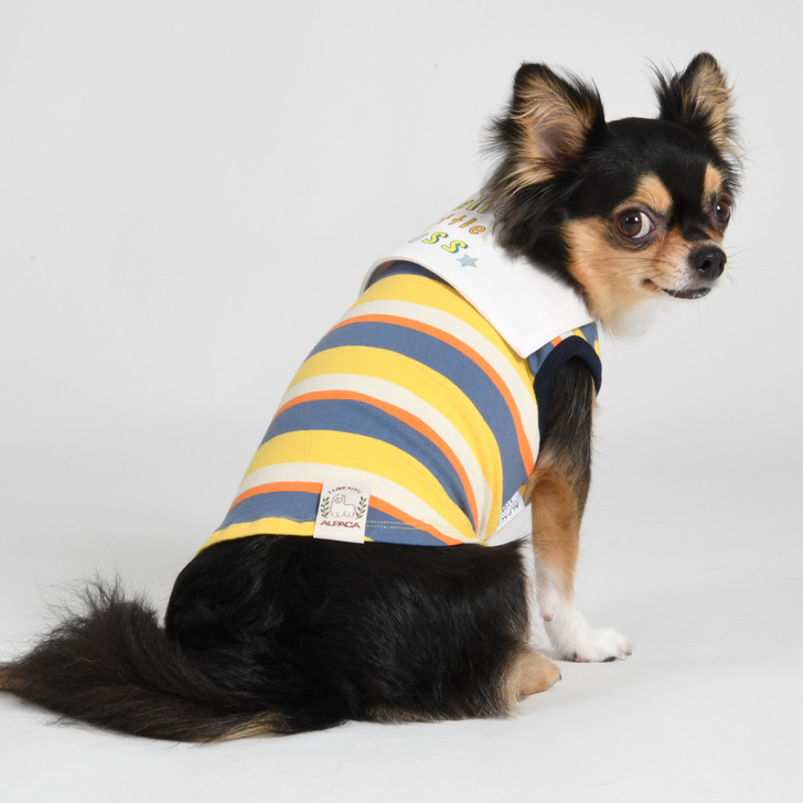 【ALPACA】アルパカボーダーセーラーカラー