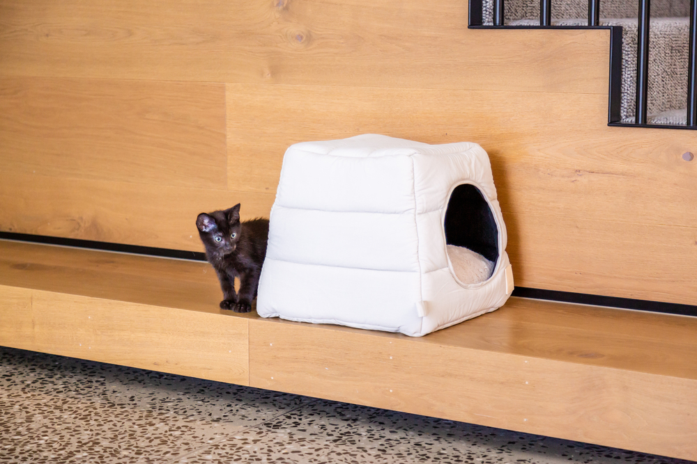 【ＦｕｚｚＹａｒｄ ＬＩＦＥ】ライフカビー