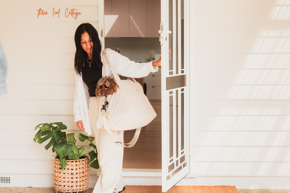 【ＦｕｚｚＹａｒｄ ＬＩＦＥ】ライフマルチキャリア＆カーシート