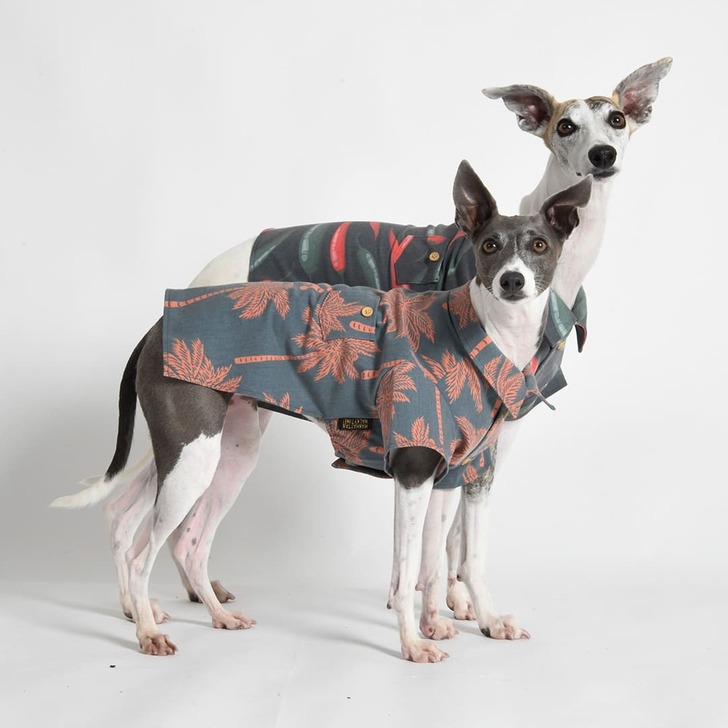 LFW144【MANHATTAN WALKY TIME!】アロハシャツ