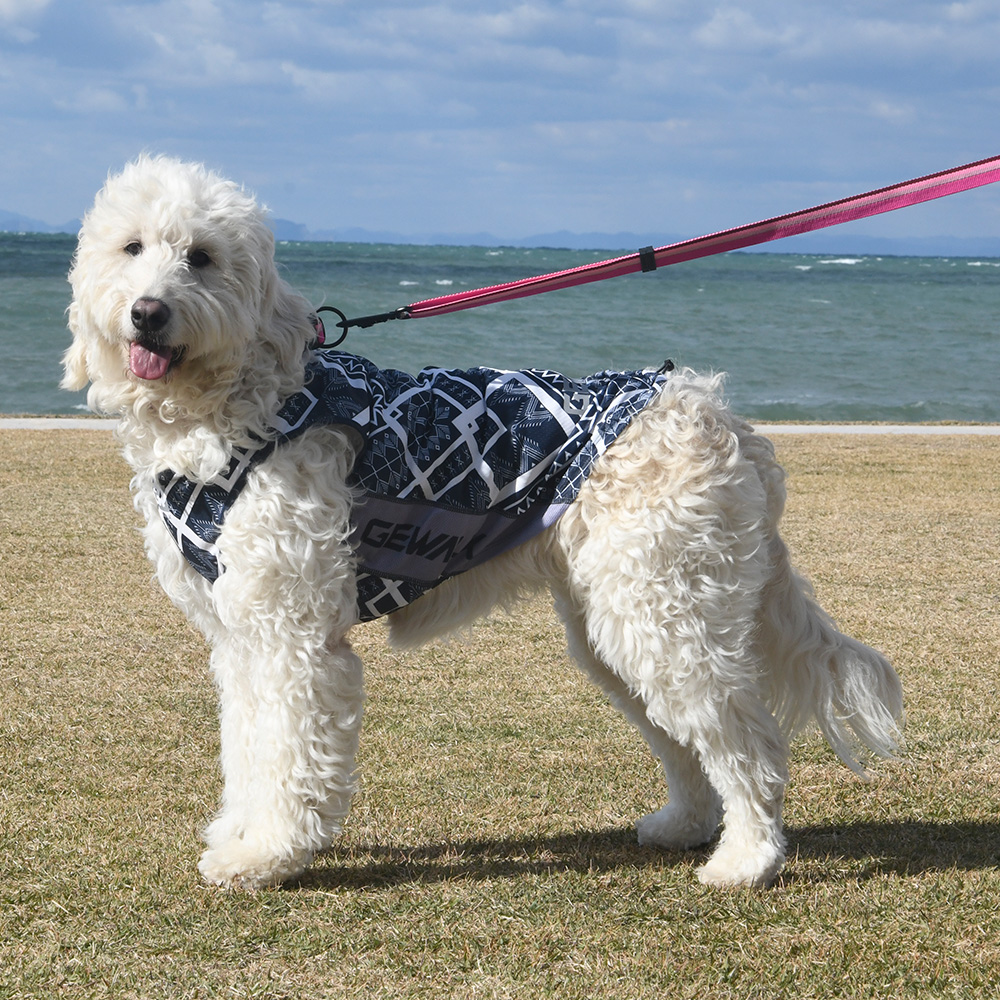 【GEWALK】５４８アクティブ　クーリング　タンクトップ