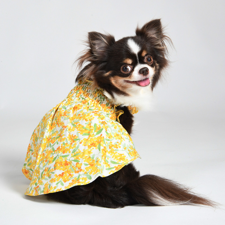 LGW350【Gemelli】やわらかＷガーゼシャーリングワンピース